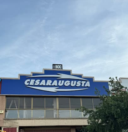 Cesaraugusta Desagües