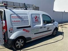 MG Mantenimientos Desatascos y Control de Plagas, S.L.