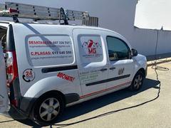 Foto de MG Mantenimientos Desatascos y Control de Plagas, S.L.